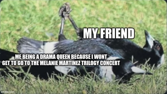 Its this fridaaaaaaayyyyy | MY FRIEND; ME BEING A DRAMA QUEEN BECAUSE I WONT GET TO GO TO THE MELANIE MARTINEZ TRILOGY CONCERT | image tagged in magpies holding hands,melanie martinez | made w/ Imgflip meme maker