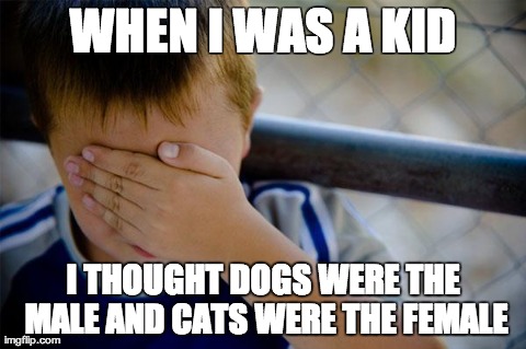 Confession Kid Meme | WHEN I WAS A KID I THOUGHT DOGS WERE THE MALE AND CATS WERE THE FEMALE | image tagged in memes,confession kid,AdviceAnimals | made w/ Imgflip meme maker