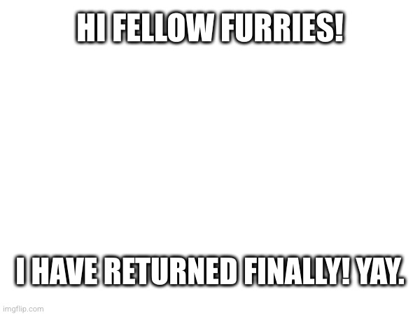 HI FELLOW FURRIES! I HAVE RETURNED FINALLY! YAY. | image tagged in hi | made w/ Imgflip meme maker