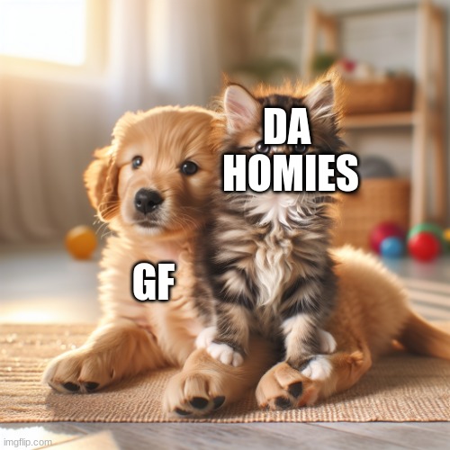 cute kitten sitting on a puppy | DA 
HOMIES; GF | image tagged in cute kitten sitting on a puppy | made w/ Imgflip meme maker