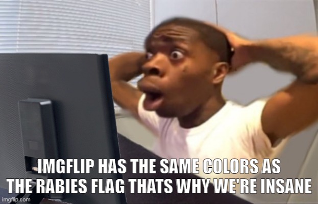 google it up if you want | IMGFLIP HAS THE SAME COLORS AS THE RABIES FLAG THATS WHY WE'RE INSANE | image tagged in my honest reaction | made w/ Imgflip meme maker