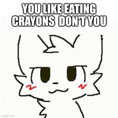boykisser | YOU LIKE EATING  CRAYONS  DON'T YOU | image tagged in boykisser | made w/ Imgflip meme maker