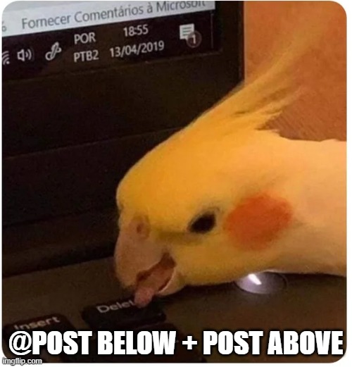 Cockatiel delete button | @POST BELOW + POST ABOVE | image tagged in cockatiel delete button | made w/ Imgflip meme maker