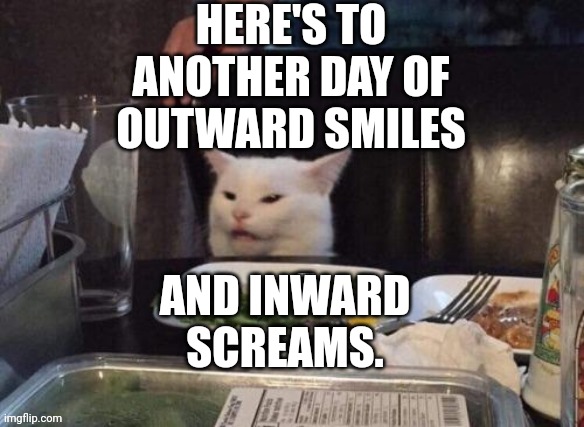 Smudge that darn cat | HERE'S TO ANOTHER DAY OF OUTWARD SMILES; AND INWARD SCREAMS. | image tagged in smudge that darn cat | made w/ Imgflip meme maker
