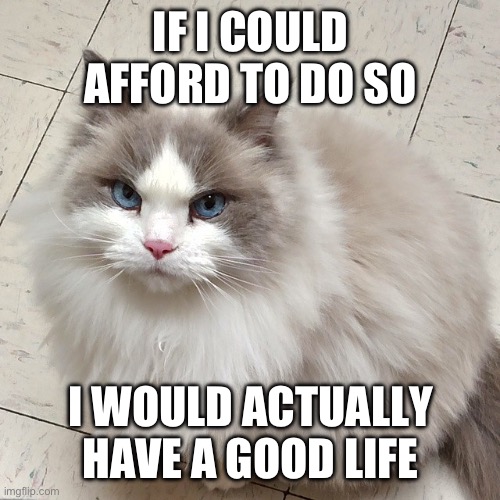 IF I COULD AFFORD TO DO SO; I WOULD ACTUALLY HAVE A GOOD LIFE | made w/ Imgflip meme maker