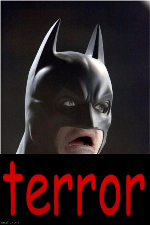 Terror | image tagged in terror,batman | made w/ Imgflip meme maker