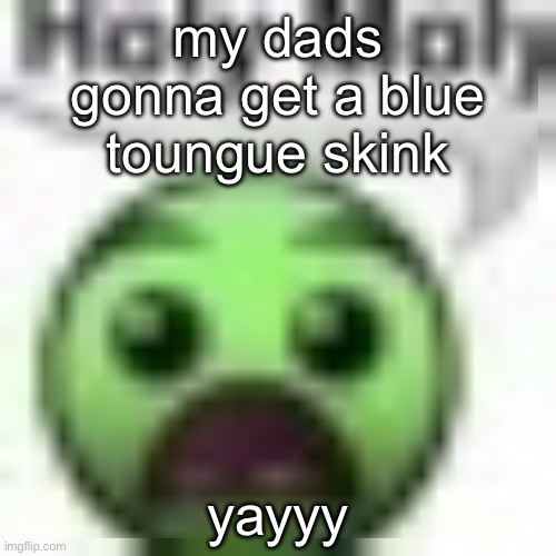 holy moly | my dads gonna get a blue toungue skink; yayyy | image tagged in holy moly | made w/ Imgflip meme maker