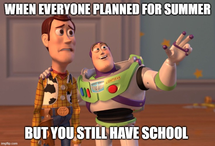 X, X Everywhere | WHEN EVERYONE PLANNED FOR SUMMER; BUT YOU STILL HAVE SCHOOL | image tagged in memes,x x everywhere | made w/ Imgflip meme maker