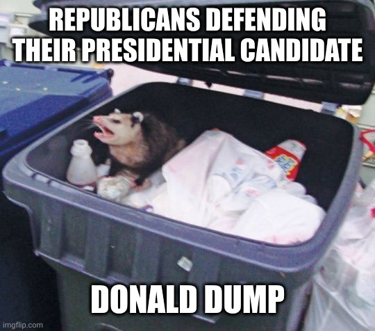 New campaign slogan: America Needs the Best Garbage Candidate! | REPUBLICANS DEFENDING THEIR PRESIDENTIAL CANDIDATE; DONALD DUMP | image tagged in awesome opossum,donald trump,dumpster,election 2024,presidential race,convicted felon | made w/ Imgflip meme maker