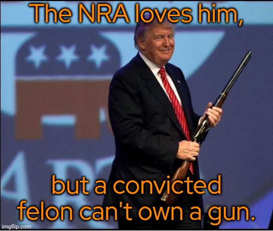 How will they act towards him now? | The NRA loves him, but a convicted felon can't own a gun. | image tagged in trump nra,second amendment,it's the law,dilemma,consequences | made w/ Imgflip meme maker