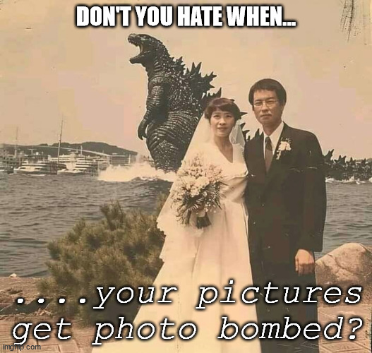 Photo Bombing | DON'T YOU HATE WHEN... ....your pictures get photo bombed? | image tagged in godzilla,memes,old photo,kaiju | made w/ Imgflip meme maker