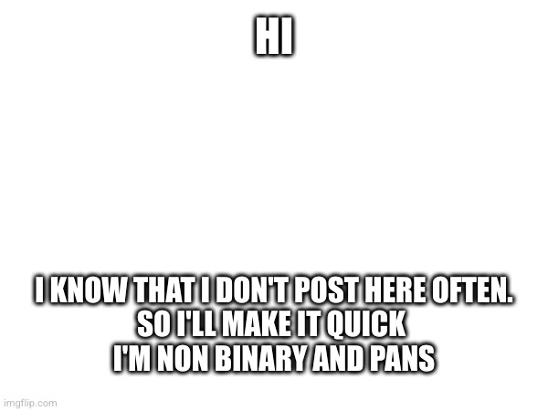 HI; I KNOW THAT I DON'T POST HERE OFTEN. 
SO I'LL MAKE IT QUICK 
I'M NON BINARY AND PANS | made w/ Imgflip meme maker