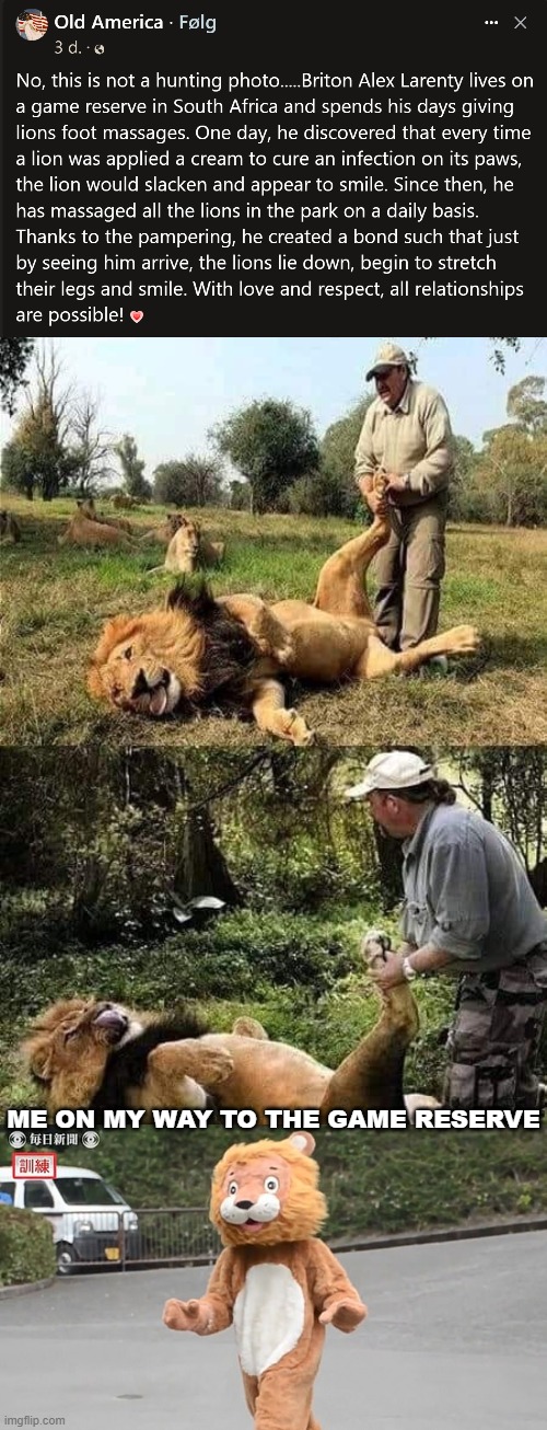 What a GREAT idea... | ME ON MY WAY TO THE GAME RESERVE | image tagged in funny,lions | made w/ Imgflip meme maker