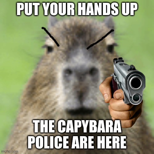 When you don't pay your taxes | PUT YOUR HANDS UP; THE CAPYBARA POLICE ARE HERE | image tagged in capybara,police,gun | made w/ Imgflip meme maker