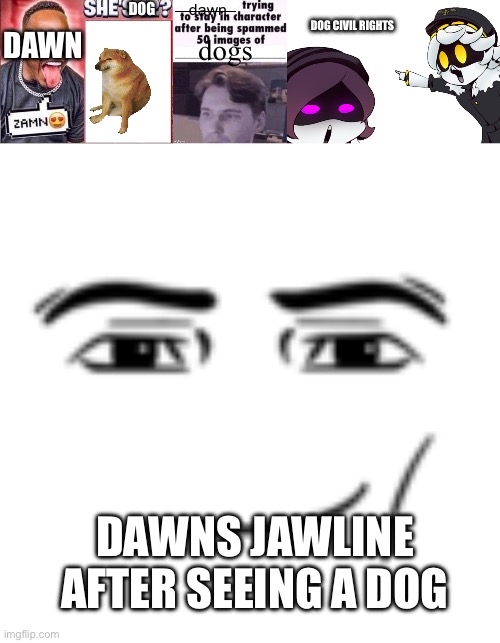 dawn; DOG; DOG CIVIL RIGHTS; DAWN; dogs; DAWNS JAWLINE AFTER SEEING A DOG | image tagged in zamn she's 12,x trying to stay in character after being spammed 50 images of y,murder drones uzi and n pointing,man face | made w/ Imgflip meme maker