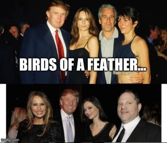 Trumps Friends | image tagged in trumps friends | made w/ Imgflip meme maker