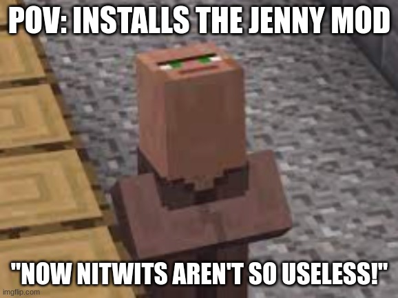 Weird villiger | POV: INSTALLS THE JENNY MOD; "NOW NITWITS AREN'T SO USELESS!" | image tagged in weird villiger,minecraft,funny,funny memes,fun | made w/ Imgflip meme maker