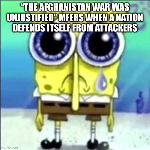 Should America had just done nothing? | “THE AFGHANISTAN WAR WAS UNJUSTIFIED” MFERS WHEN A NATION DEFENDS ITSELF FROM ATTACKERS | image tagged in sad spongebob,9/11,afghanistan,war | made w/ Imgflip meme maker