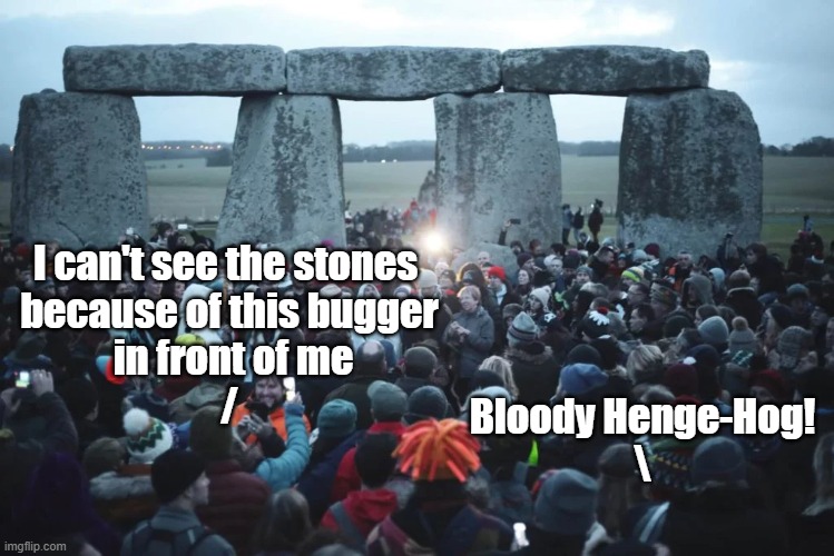 You block, you stone, you worse than senseless thing! | I can't see the stones 
because of this bugger
 in front of me
/; Bloody Henge-Hog!
\ | image tagged in puns | made w/ Imgflip meme maker