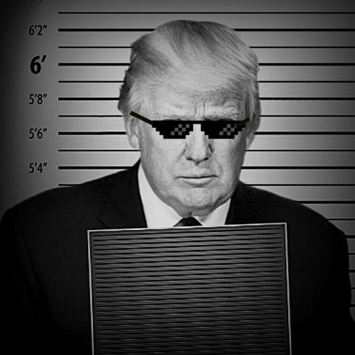 High Quality Trump, a convicted felon for president Blank Meme Template