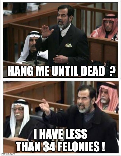 hang me | HANG ME UNTIL DEAD  ? I HAVE LESS THAN 34 FELONIES ! | image tagged in saddam hold on fam,hang me | made w/ Imgflip meme maker