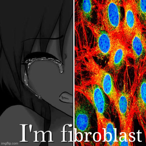 I'm fibroblast | broblast | image tagged in i'm fi,broblast,fibroblast | made w/ Imgflip meme maker