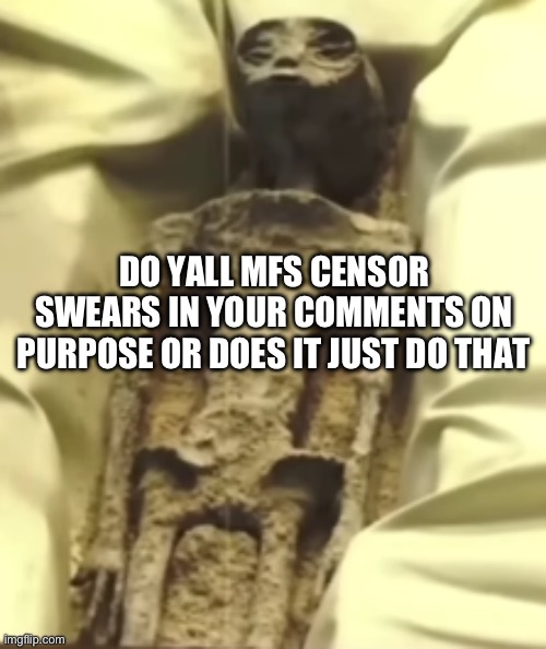 serious post | DO YALL MFS CENSOR SWEARS IN YOUR COMMENTS ON PURPOSE OR DOES IT JUST DO THAT | image tagged in serious post | made w/ Imgflip meme maker