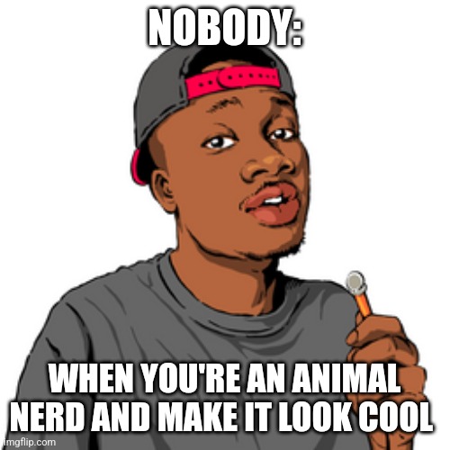 I make being an animal nerd look kool | NOBODY:; WHEN YOU'RE AN ANIMAL NERD AND MAKE IT LOOK COOL | image tagged in casual geographic,youtube,jpfan102504 | made w/ Imgflip meme maker