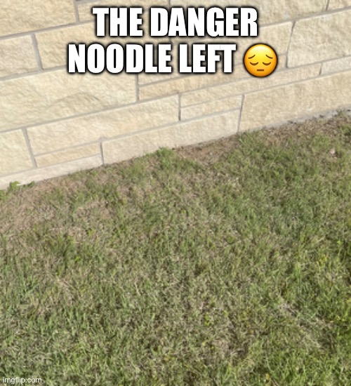 THE DANGER NOODLE LEFT 😔 | made w/ Imgflip meme maker