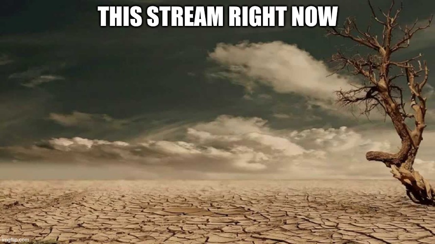 this place needs a revival (real - vanny) | THIS STREAM RIGHT NOW | image tagged in wasteland | made w/ Imgflip meme maker