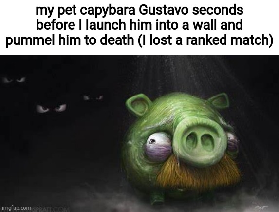 RIP Gustavo | my pet capybara Gustavo seconds before I launch him into a wall and pummel him to death (I lost a ranked match) | made w/ Imgflip meme maker