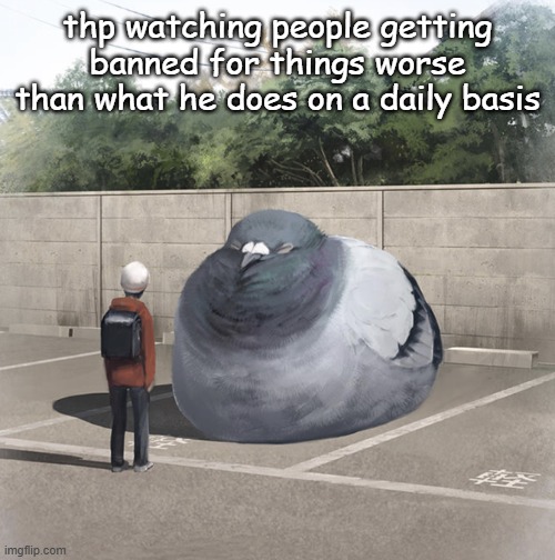 Beeg Birb | thp watching people getting banned for things worse than what he does on a daily basis | image tagged in beeg birb | made w/ Imgflip meme maker