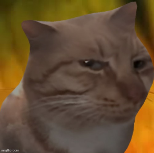 Mr Freshbaby | made w/ Imgflip meme maker