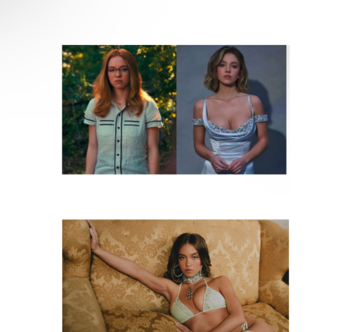 High Quality sydney sweeney Blank Meme Template