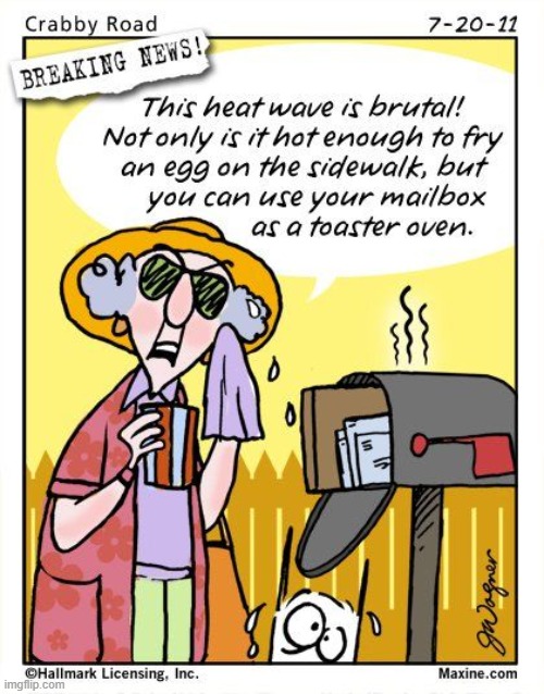 image tagged in summer,heat wave,egg,sidewalk,mailbox,toaster | made w/ Imgflip meme maker