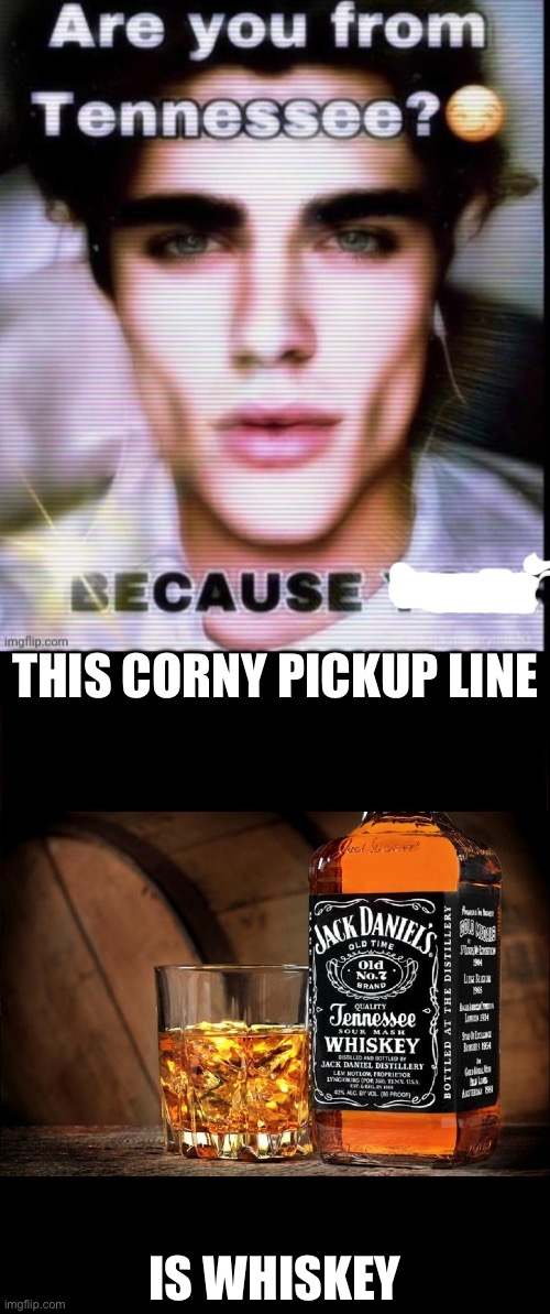 Whiskey talk | THIS CORNY PICKUP LINE; IS WHISKEY | image tagged in jack daniels,whiskey,corny,tennessee | made w/ Imgflip meme maker
