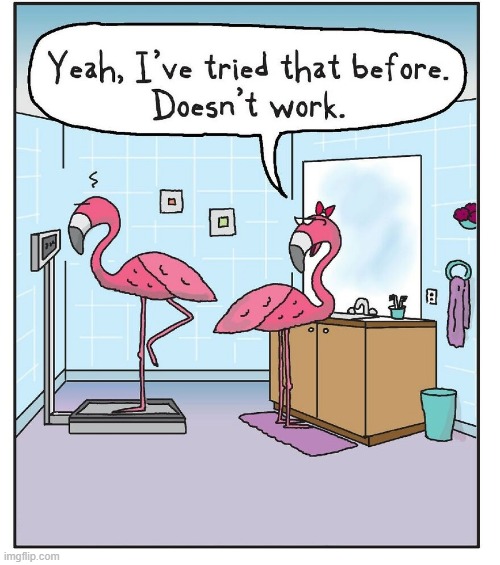 Flamingo Weight | image tagged in comics | made w/ Imgflip meme maker