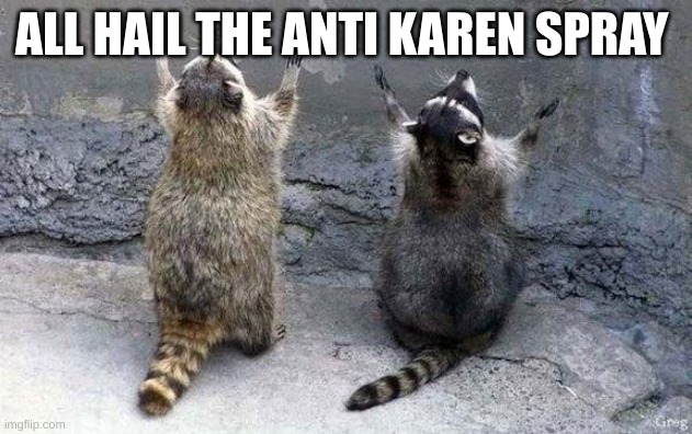 Raccoon Worshipping | ALL HAIL THE ANTI KAREN SPRAY | image tagged in raccoon worshipping | made w/ Imgflip meme maker