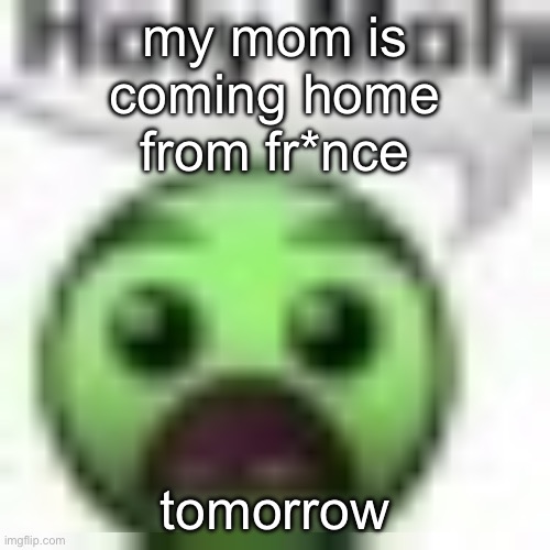 holy moly | my mom is coming home from fr*nce; tomorrow | image tagged in holy moly | made w/ Imgflip meme maker