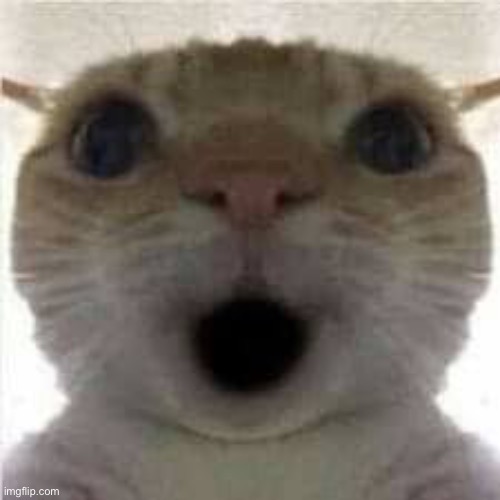 (JPSpino note: =O | made w/ Imgflip meme maker