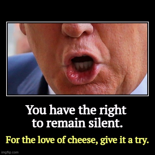 You have the right 
to remain silent. | For the love of cheese, give it a try. | image tagged in funny,demotivationals,trump,talk,mouth,scream | made w/ Imgflip demotivational maker
