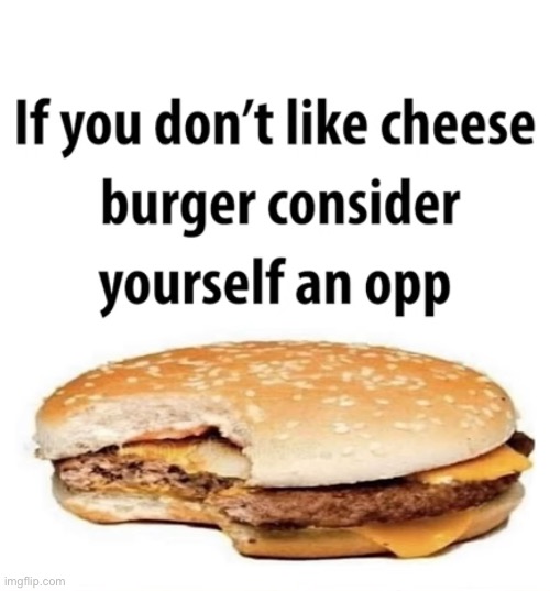 Yes you can has cheezburger | made w/ Imgflip meme maker