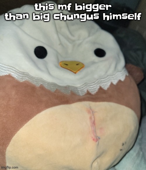 disgusted edward | this mf bigger than big chungus himself | image tagged in disgusted edward | made w/ Imgflip meme maker