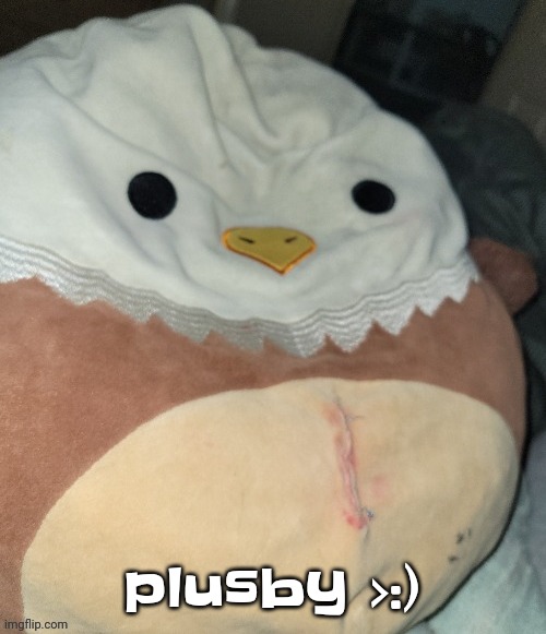 disgusted edward | plusby >:) | image tagged in disgusted edward | made w/ Imgflip meme maker