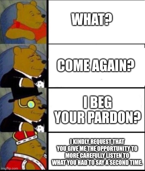 Whatchu say? | WHAT? COME AGAIN? I BEG YOUR PARDON? I KINDLY REQUEST THAT YOU GIVE ME THE OPPORTUNITY TO MORE CAREFULLY LISTEN TO WHAT YOU HAD TO SAY A SECOND TIME. | image tagged in winnie the pooh 4,what | made w/ Imgflip meme maker