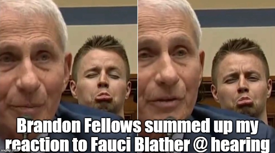 Kid sure nailed it | Brandon Fellows summed up my reaction to Fauci Blather @ hearing | image tagged in fauci hearing mocked by jan 6 protester meme | made w/ Imgflip meme maker