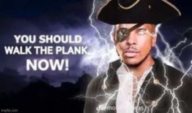 You should walk the plank NOW! | image tagged in memes,funny,lowtiergod,shitpost | made w/ Imgflip meme maker