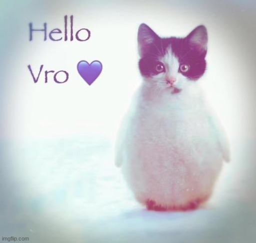 hello vro | image tagged in hello vro | made w/ Imgflip meme maker