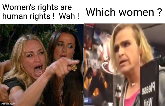 Woman Yelling At Cat Meme | Women's rights are human rights !  Wah ! Which women ? | image tagged in memes,woman yelling at cat | made w/ Imgflip meme maker