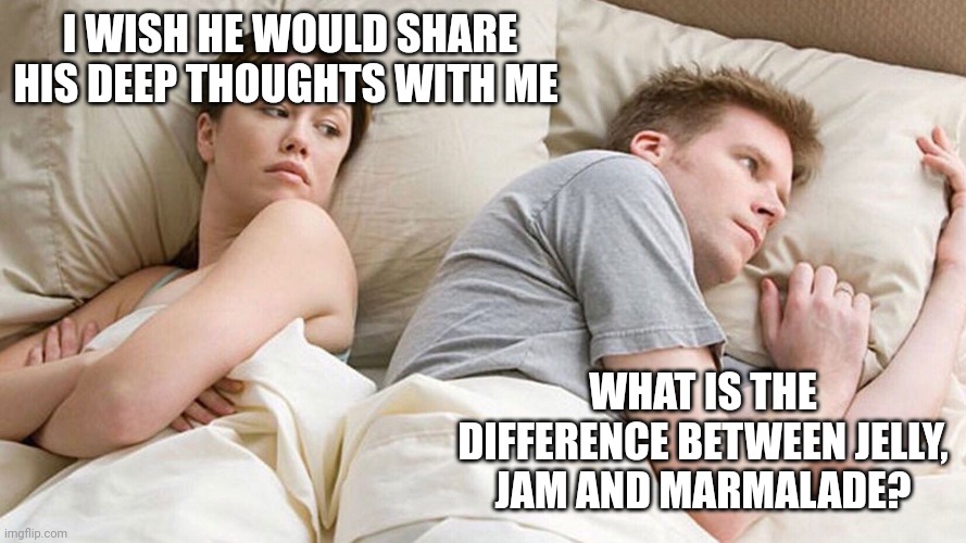 He's probably thinking about girls | I WISH HE WOULD SHARE HIS DEEP THOUGHTS WITH ME; WHAT IS THE DIFFERENCE BETWEEN JELLY, JAM AND MARMALADE? | image tagged in he's probably thinking about girls | made w/ Imgflip meme maker